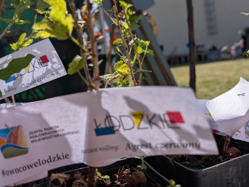 Relacja zdjęciowa z Rodzinnego Pikniku w Dąbrówce Dużej (4), 